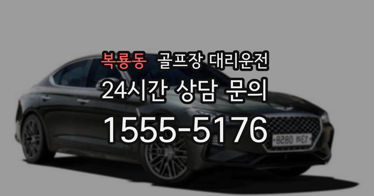 골프장 대리운전 서비스