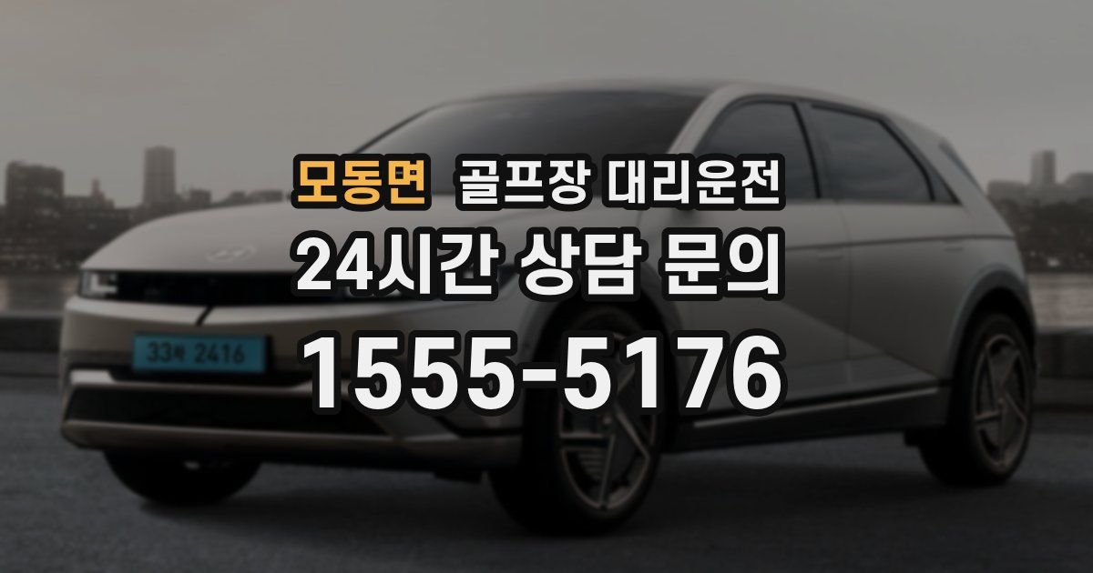 골프장 대리운전 서비스