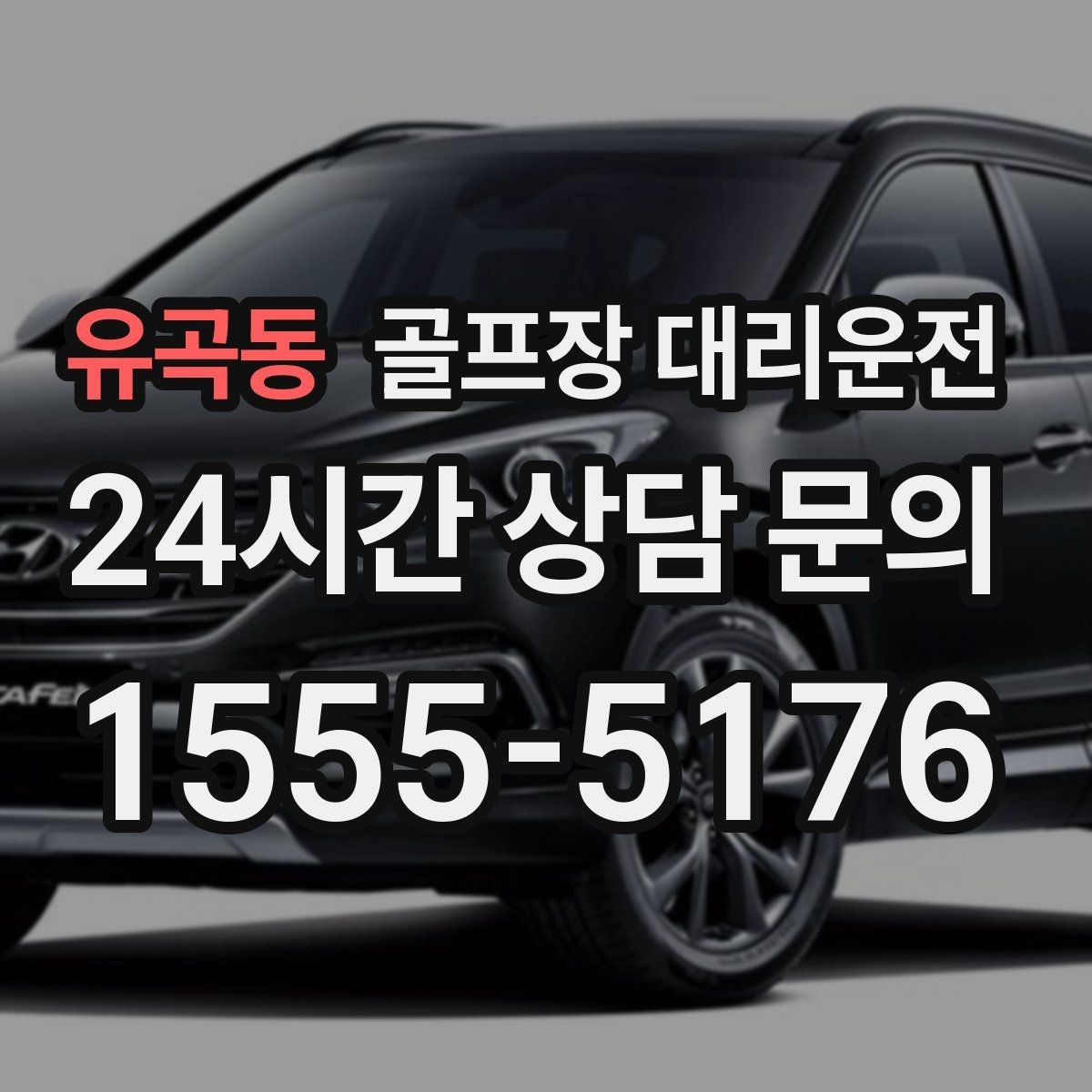 유곡동 골프장 대리운전 골프백 다수 적재를 고려한 차량 구성