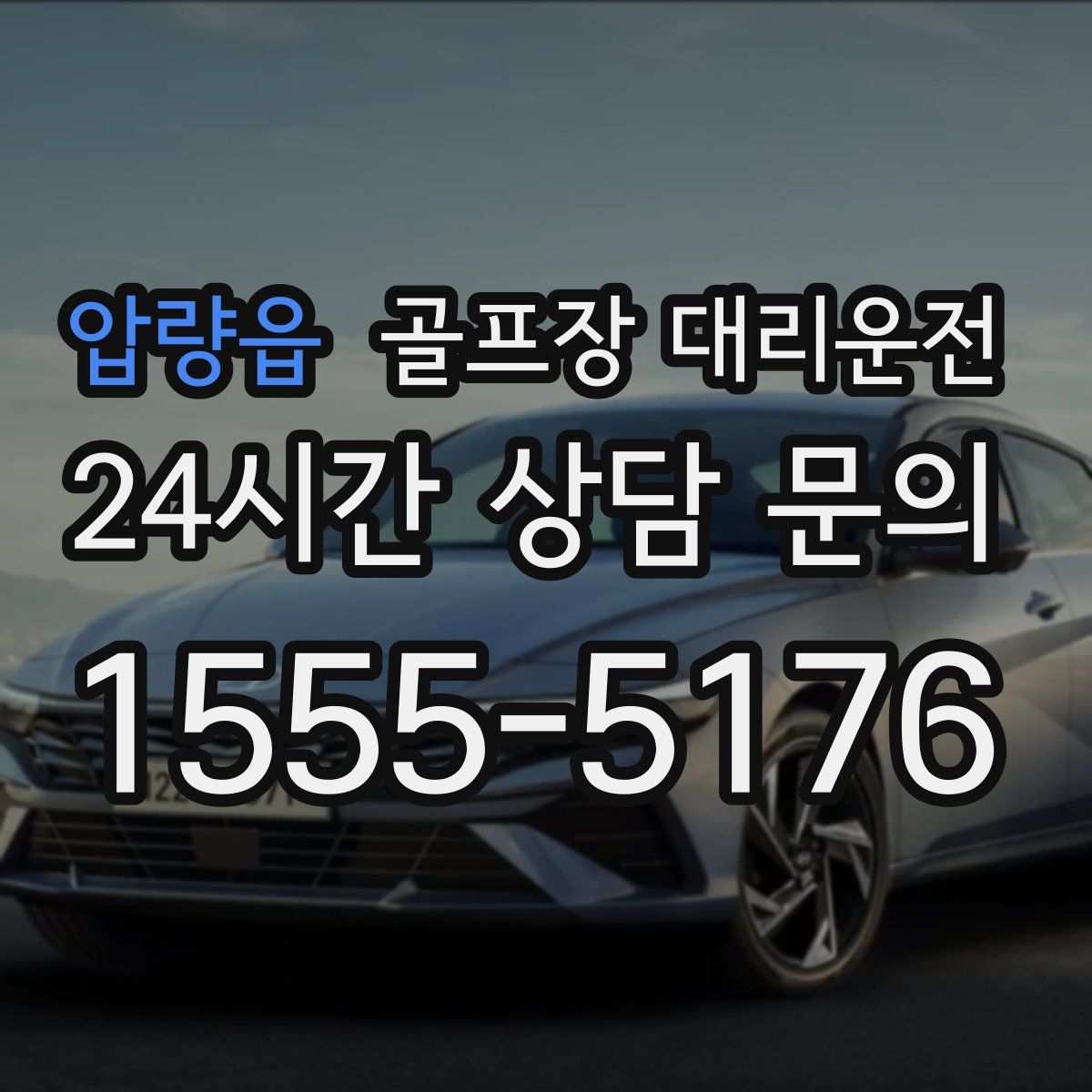 골프장 대리운전