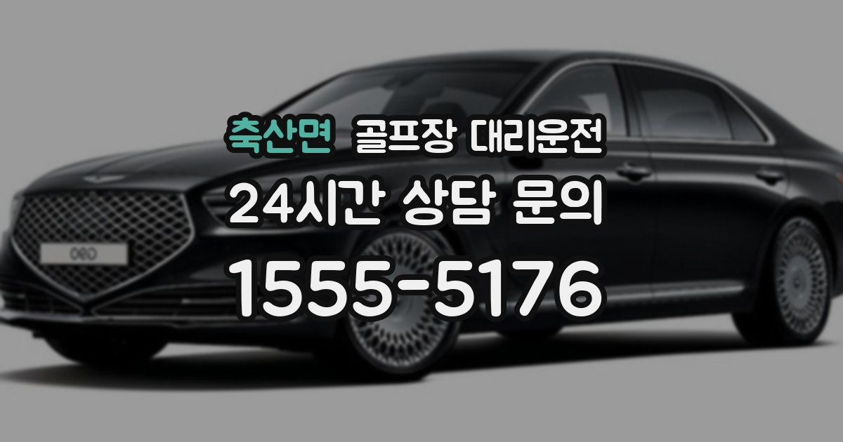 골프장 대리운전 서비스