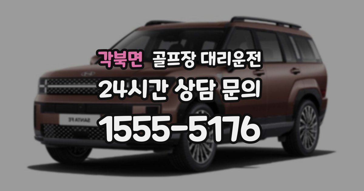 골프장 대리운전 서비스