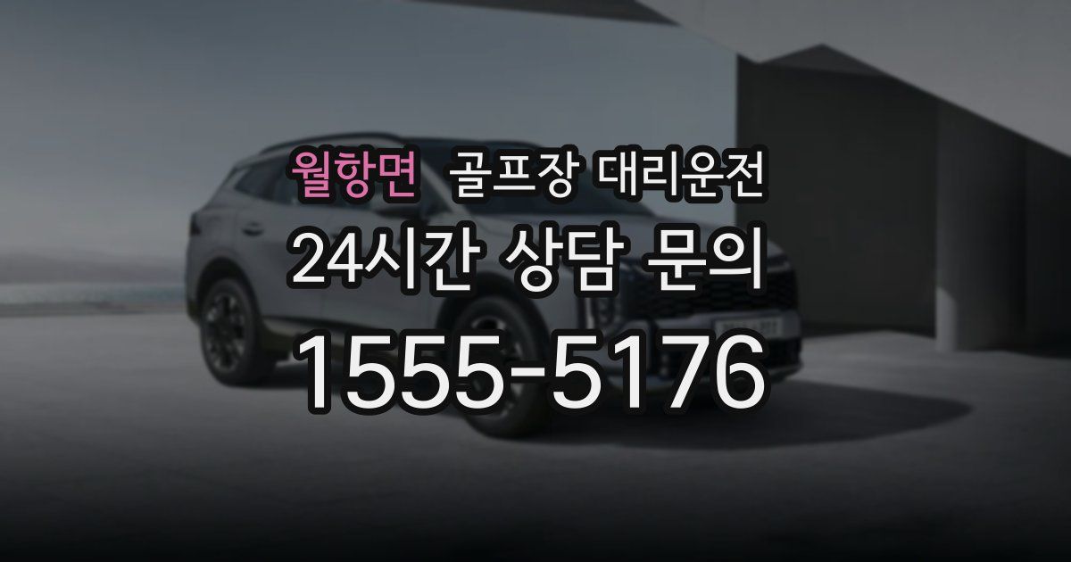 골프장 대리운전 서비스