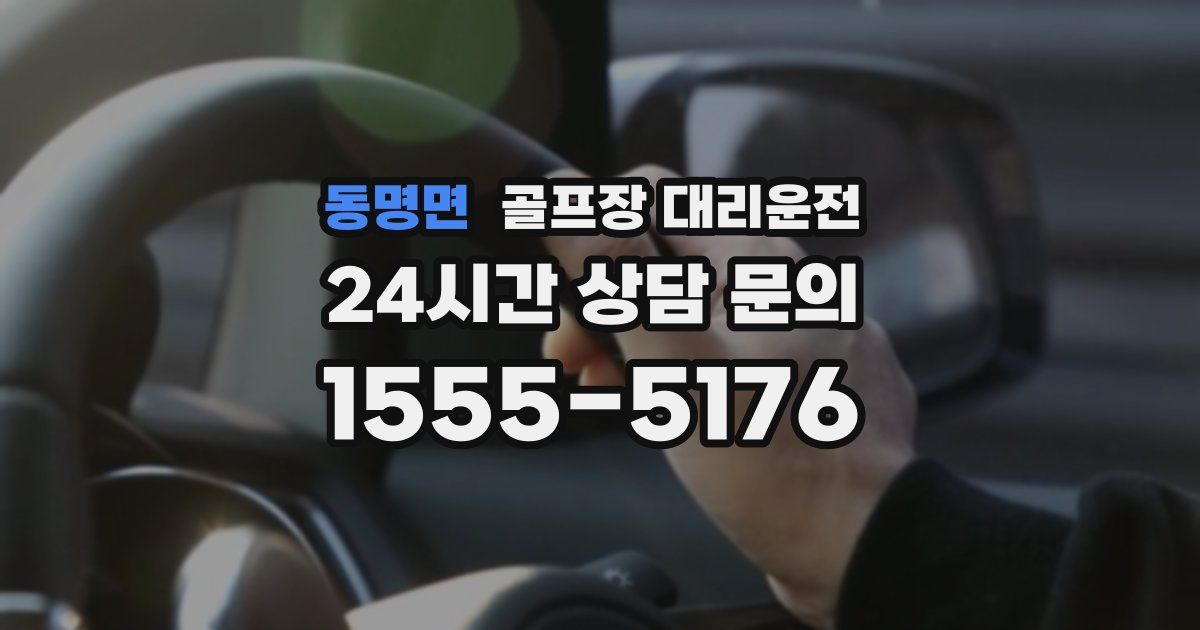 골프장 대리운전 서비스