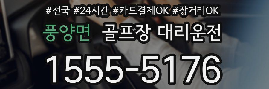 풍양면 골프장 대리운전