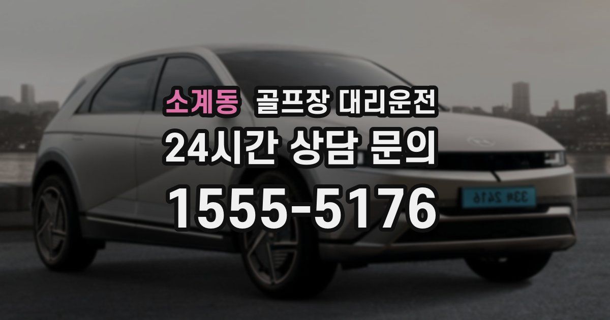 골프장 대리운전 서비스