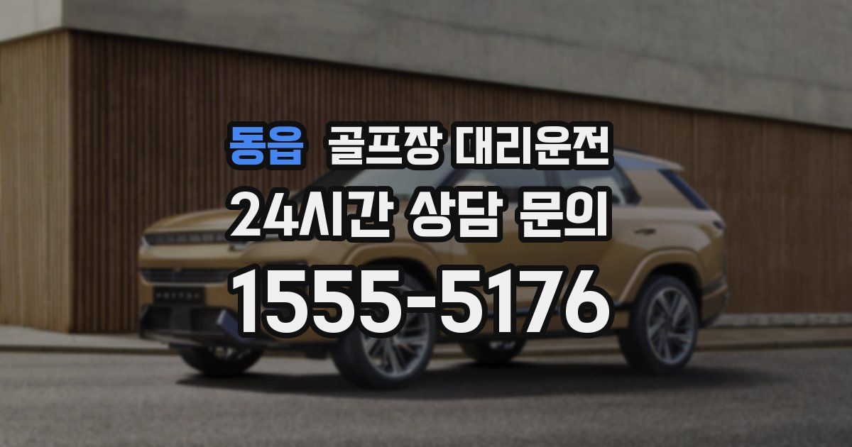 골프장 대리운전 서비스