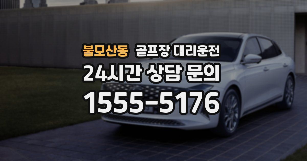 골프장 대리운전 서비스