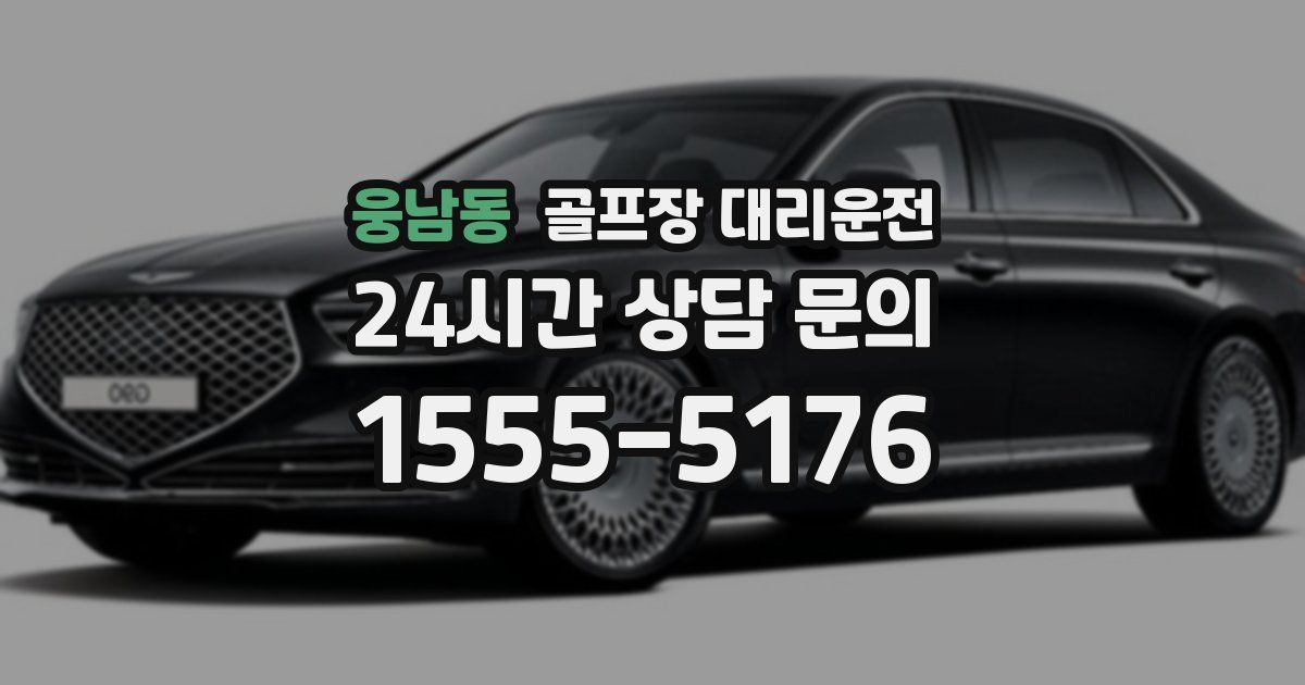 골프장 대리운전 서비스