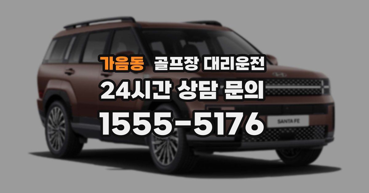 골프장 대리운전 서비스