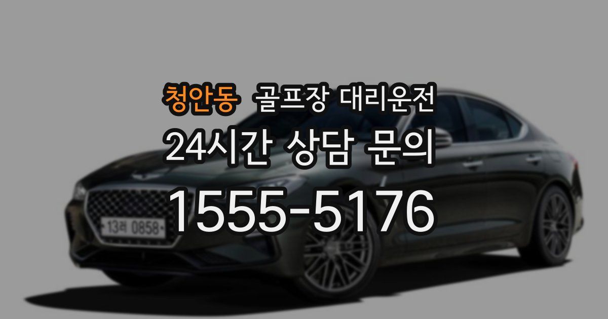 골프장 대리운전 서비스