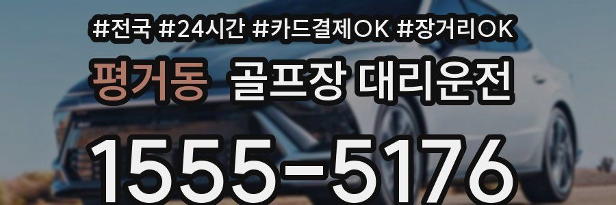 평거동 골프장 대리운전