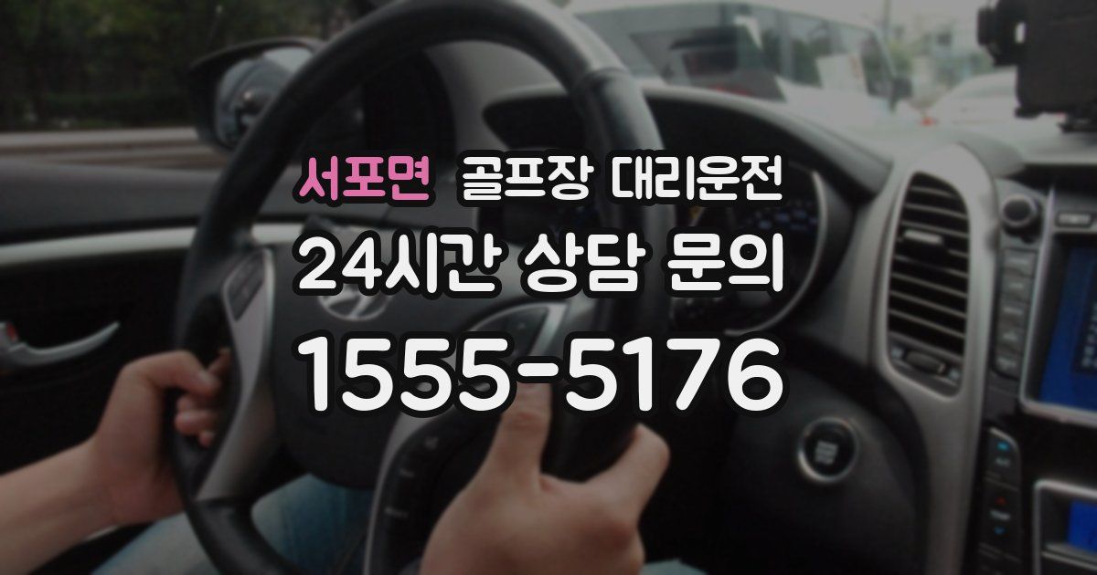 골프장 대리운전 서비스
