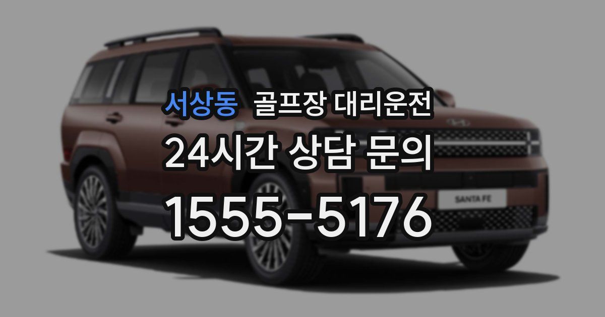 골프장 대리운전 서비스