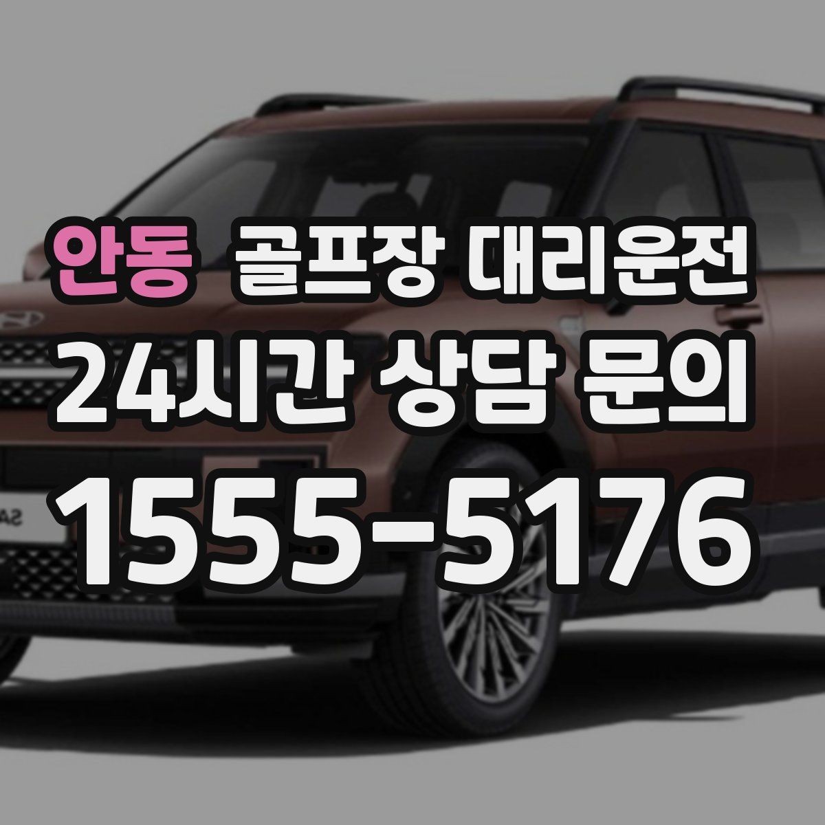 안동 골프장 대리운전 코스 주차 타워 진입 가능 여부 점검