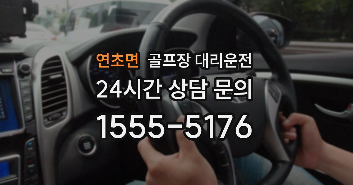골프장 대리운전 서비스