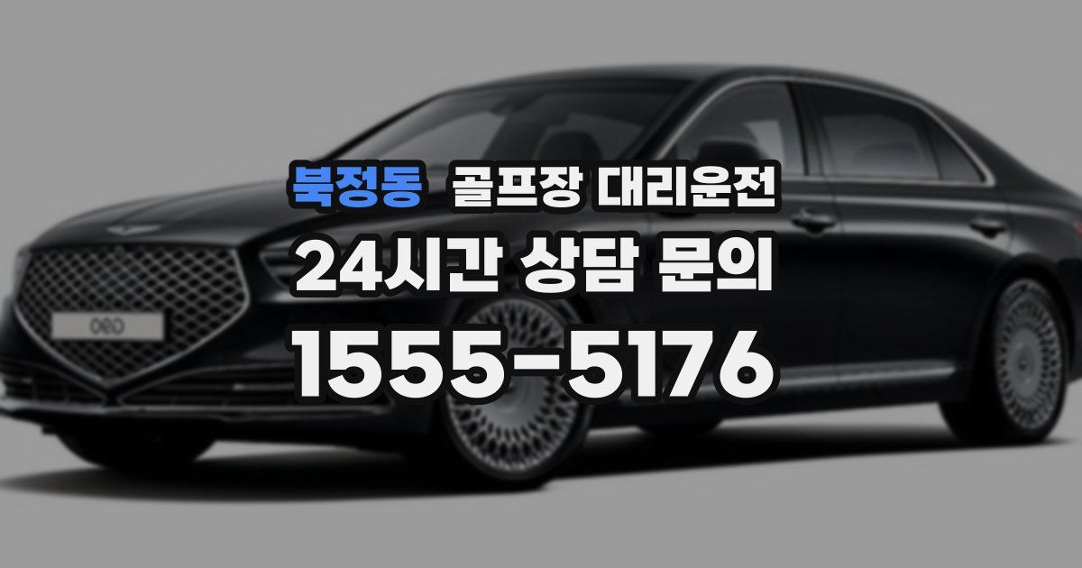 골프장 대리운전 서비스
