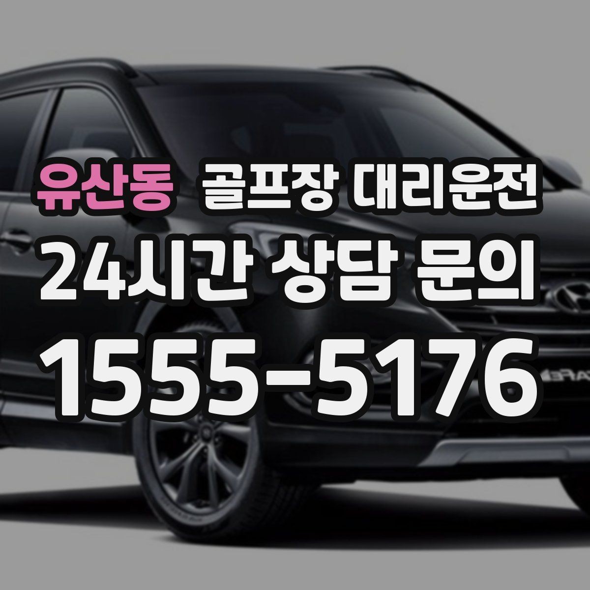 유산동 골프장 대리운전 멤버십 코스 출입 절차에 익숙한 배차