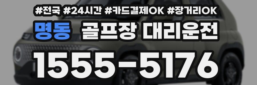 명동 골프장 대리운전