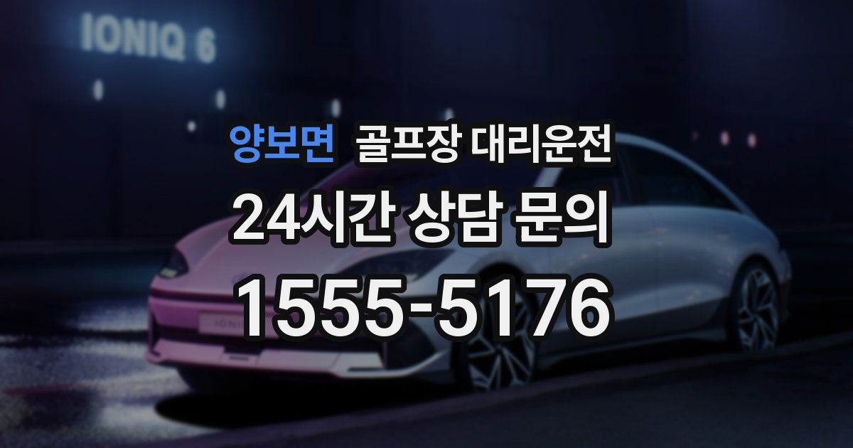 골프장 대리운전 서비스