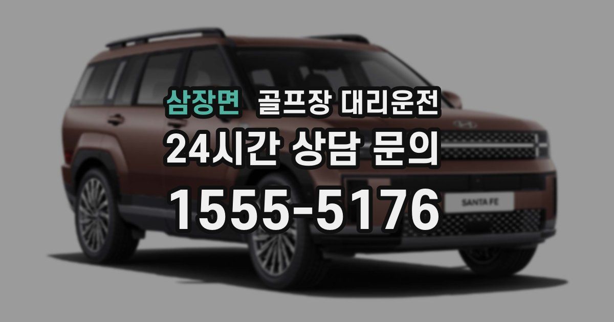 골프장 대리운전 서비스