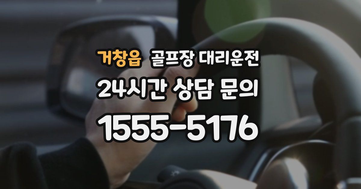 골프장 대리운전 서비스