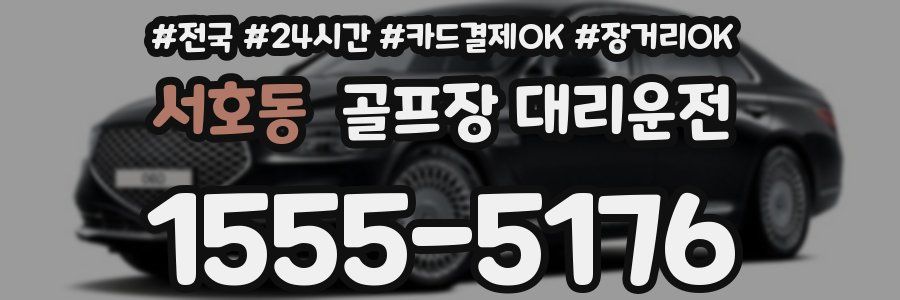 서호동 골프장 대리운전