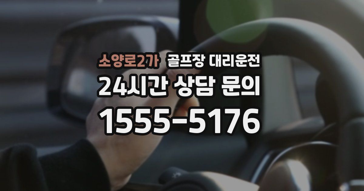 골프장 대리운전 서비스