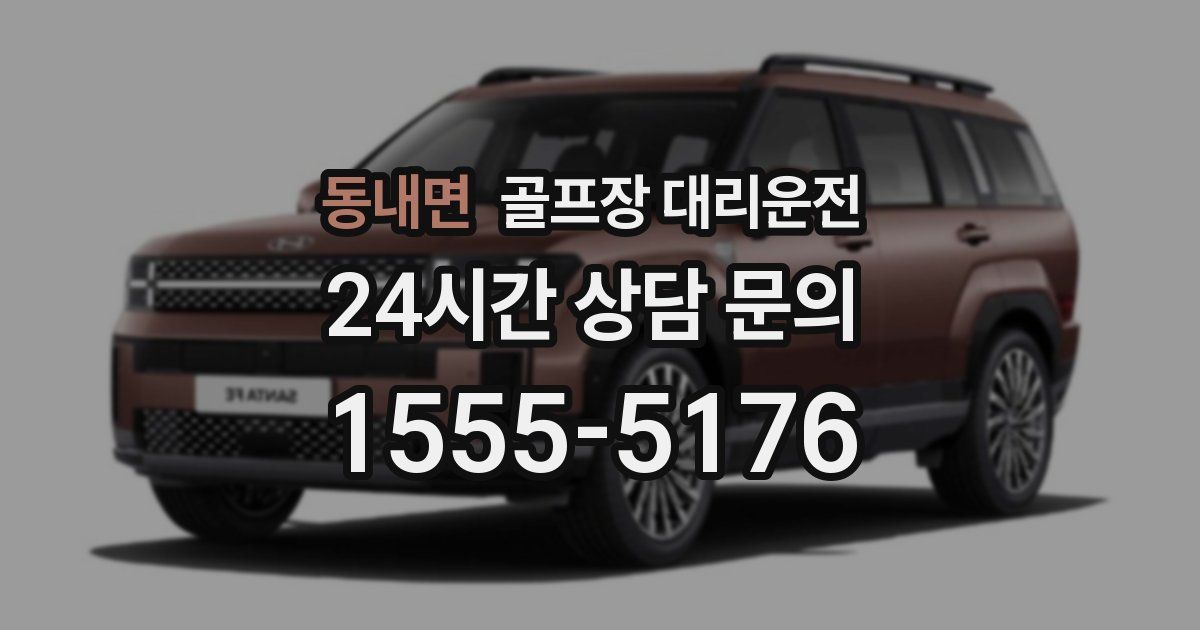 골프장 대리운전 서비스