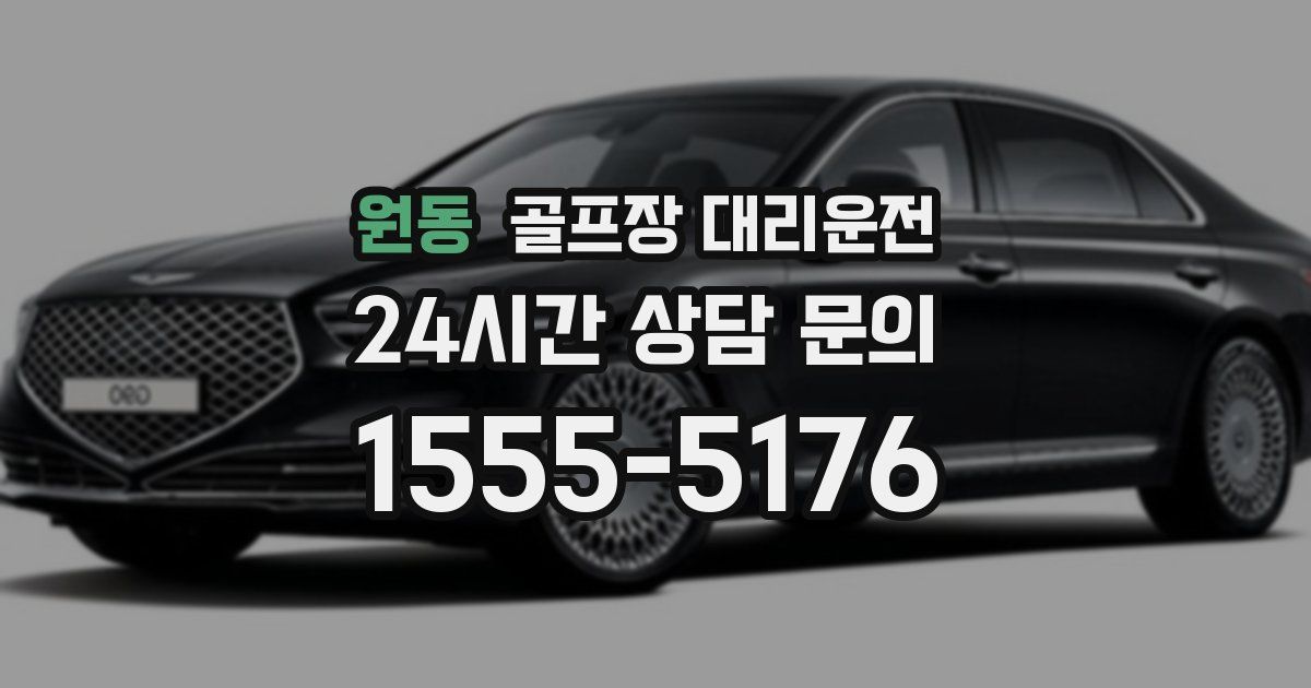 골프장 대리운전 서비스