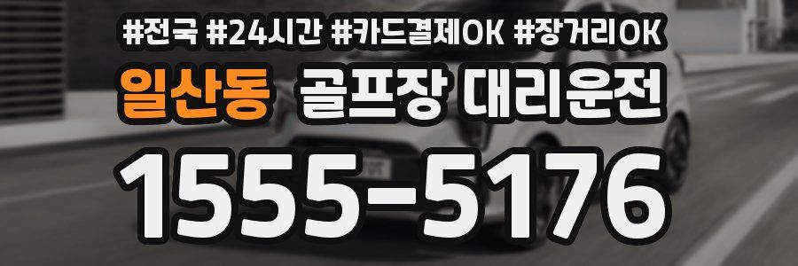 일산동 골프장 대리운전