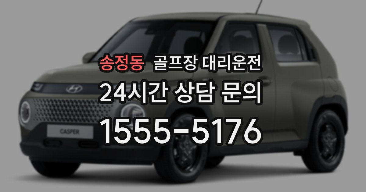 골프장 대리운전 서비스