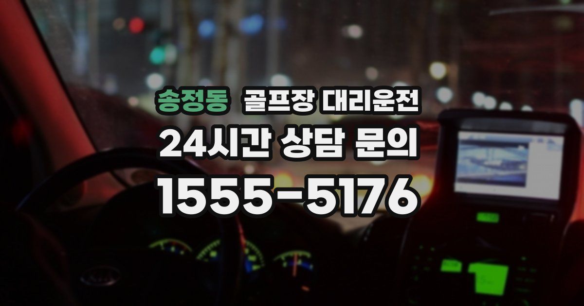 골프장 대리운전 서비스