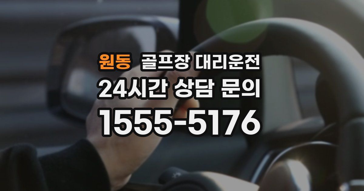 골프장 대리운전 서비스