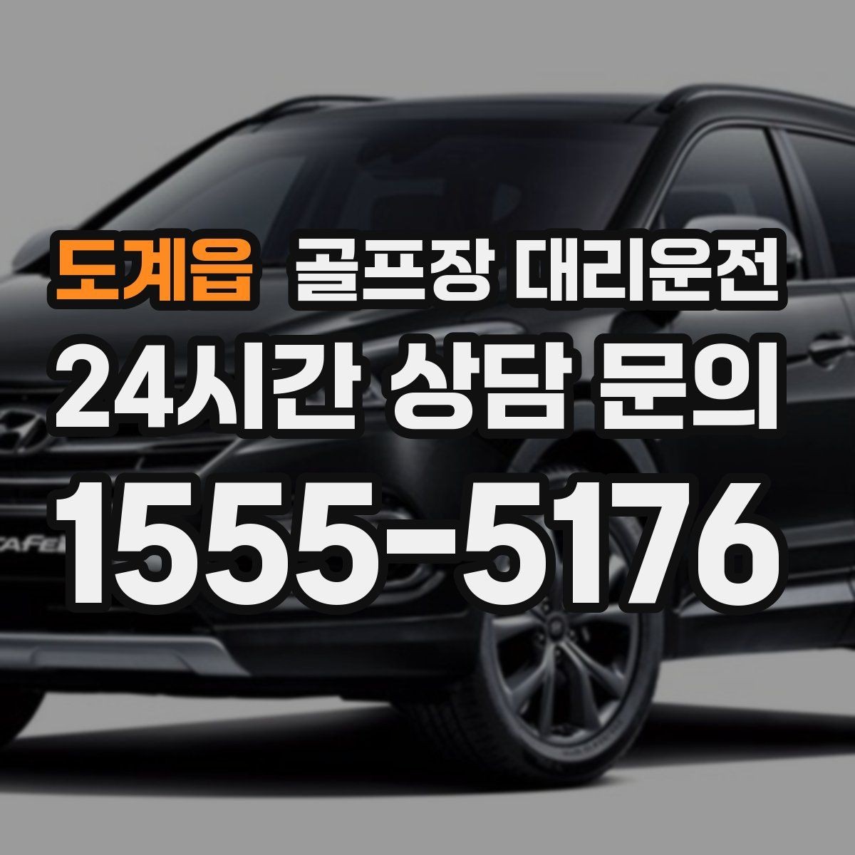 도계읍 골프장 대리운전 골프백 다수 적재를 고려한 차량 구성