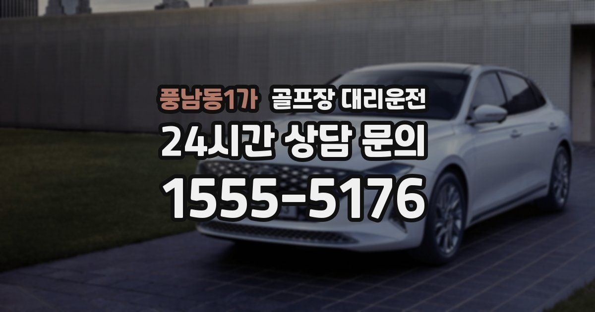 골프장 대리운전 서비스