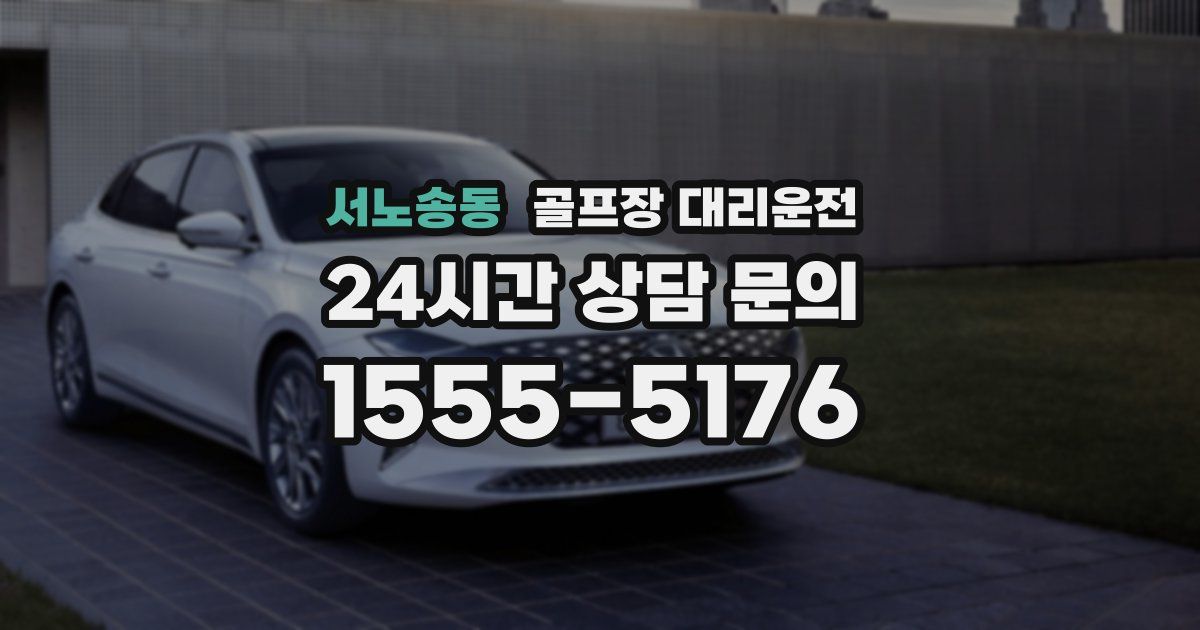 골프장 대리운전 서비스