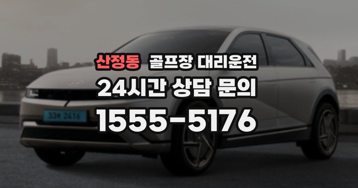 골프장 대리운전 서비스