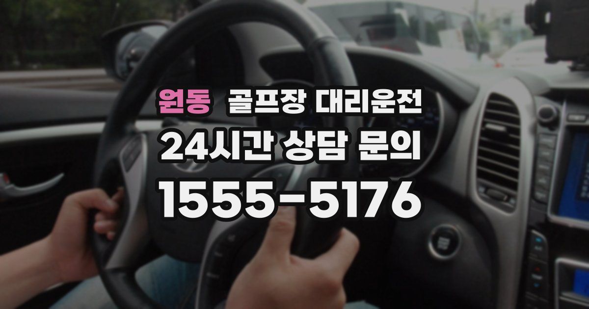 골프장 대리운전 서비스
