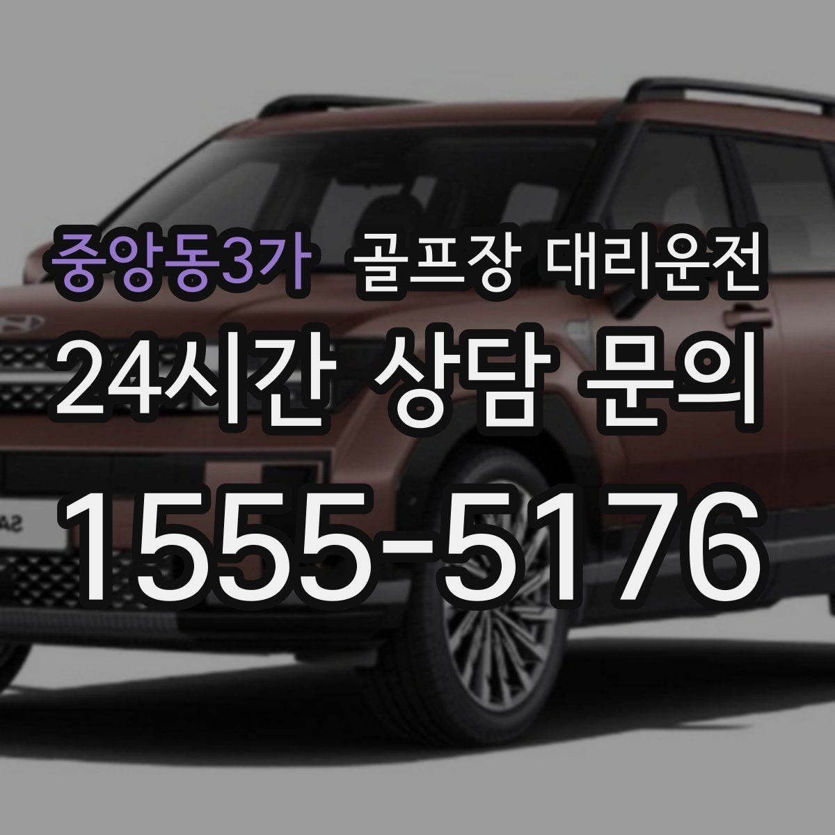 중앙동3가 골프장 대리운전 회원제 코스 출입을 잘 아는 안정감