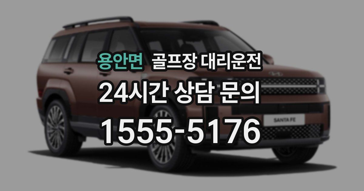 골프장 대리운전 서비스