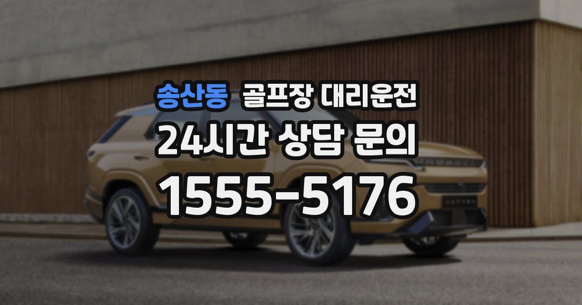 골프장 대리운전 서비스