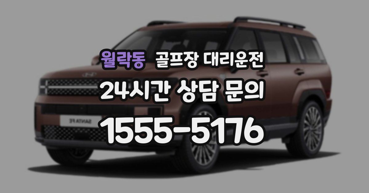 골프장 대리운전 서비스