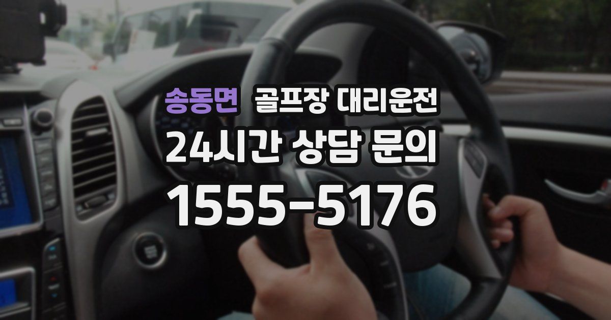 골프장 대리운전 서비스