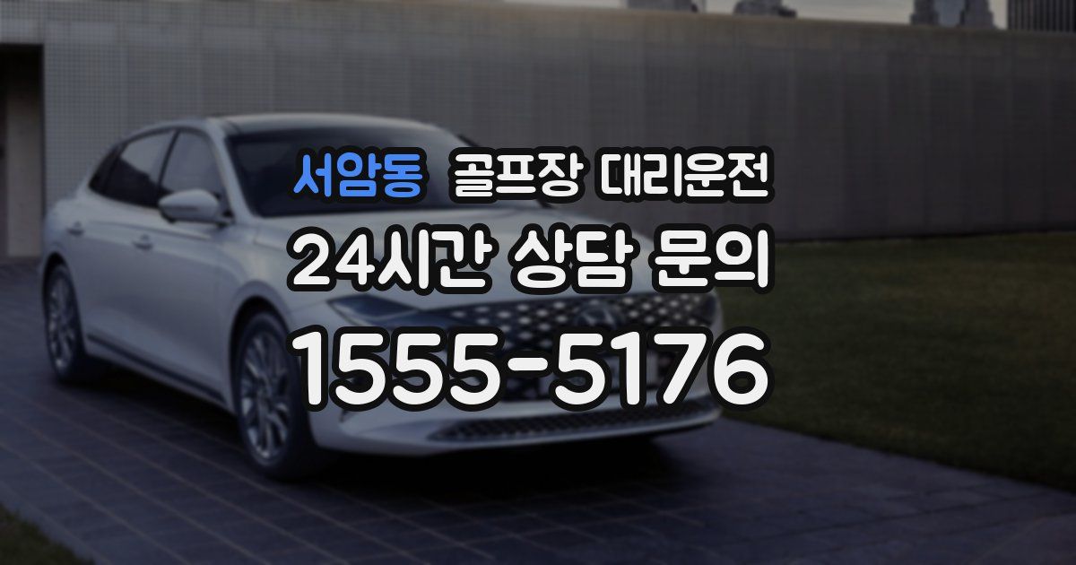 골프장 대리운전 서비스