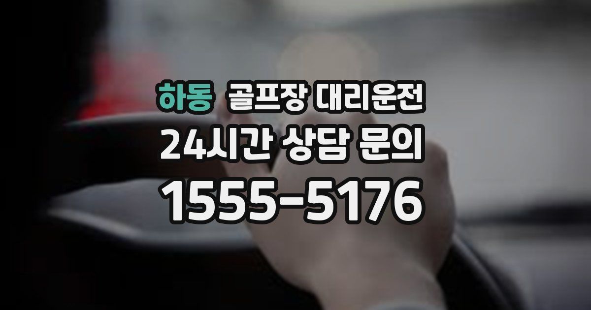 골프장 대리운전 서비스