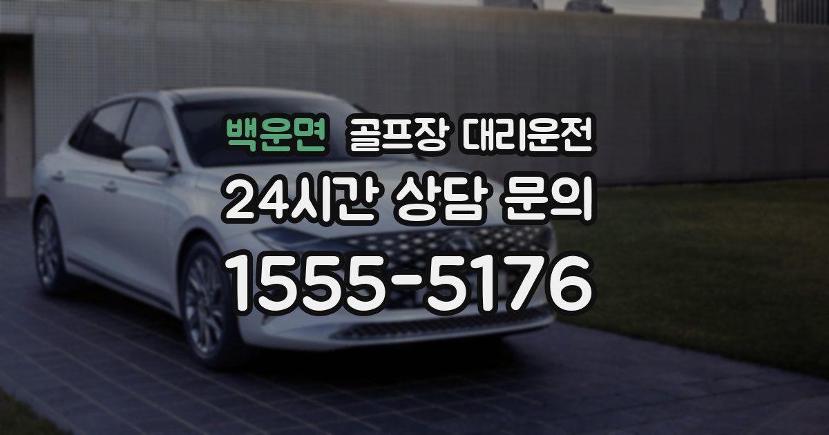 골프장 대리운전 서비스