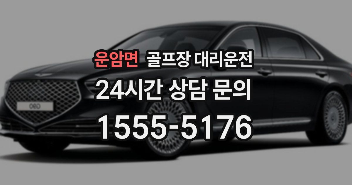 골프장 대리운전 서비스