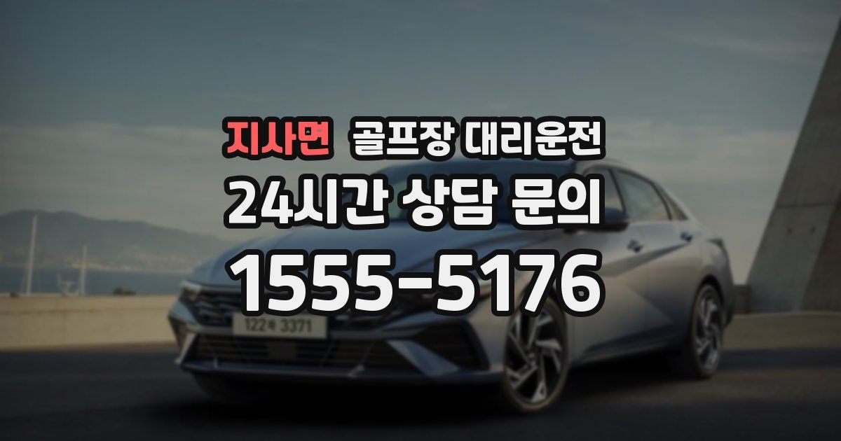 골프장 대리운전 서비스