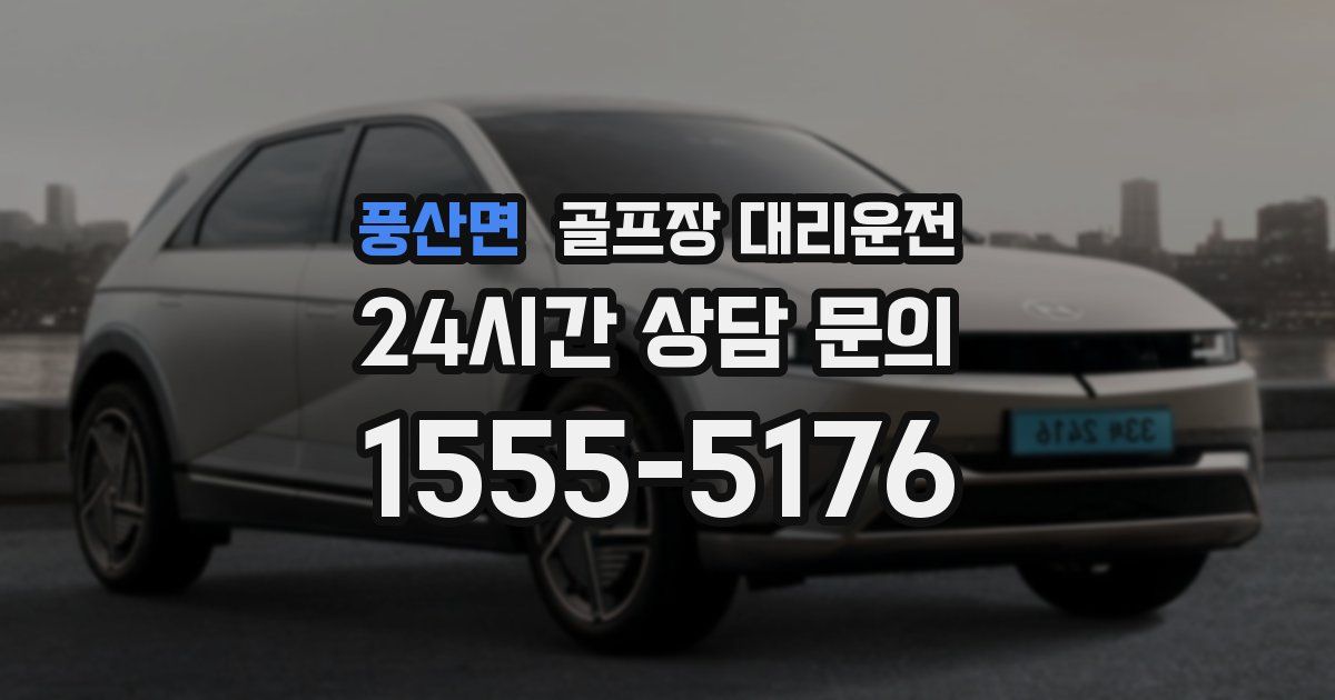 골프장 대리운전 서비스